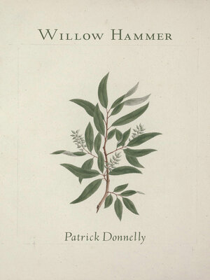 cover image of Willow Hammer